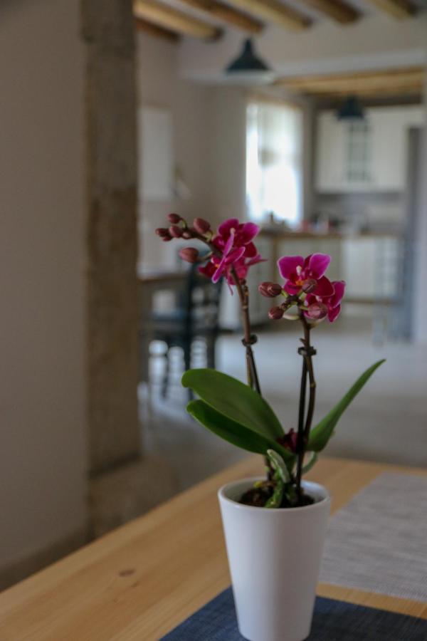 ホテル Casa Lenka Malchina エクステリア 写真